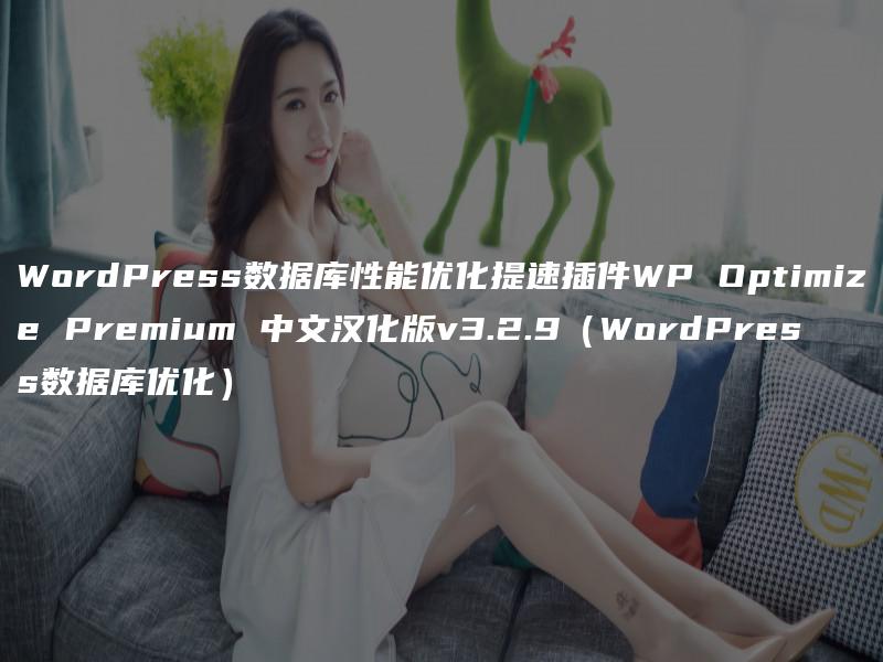 WordPress数据库性能优化提速插件WP Optimize Premium 中文汉化版v3.2.9（WordPress数据库优化）
